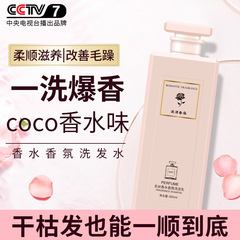 Mingsi Refreshing Oil Control Perfume Shampoo Smooth Anti-Dandruff Long-lasting Fragrance Shampoo Care Set Wholesale