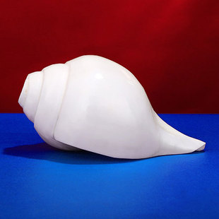 �Ჴ���M�ڴ��ݹ��߰˹��B��ǰ�˹��[��̖�Ǵ���ݰ׺���14cm