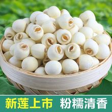 天然干货无芯莲子煮粥磨皮湘潭煲汤食用新鲜银耳莲子百合羹