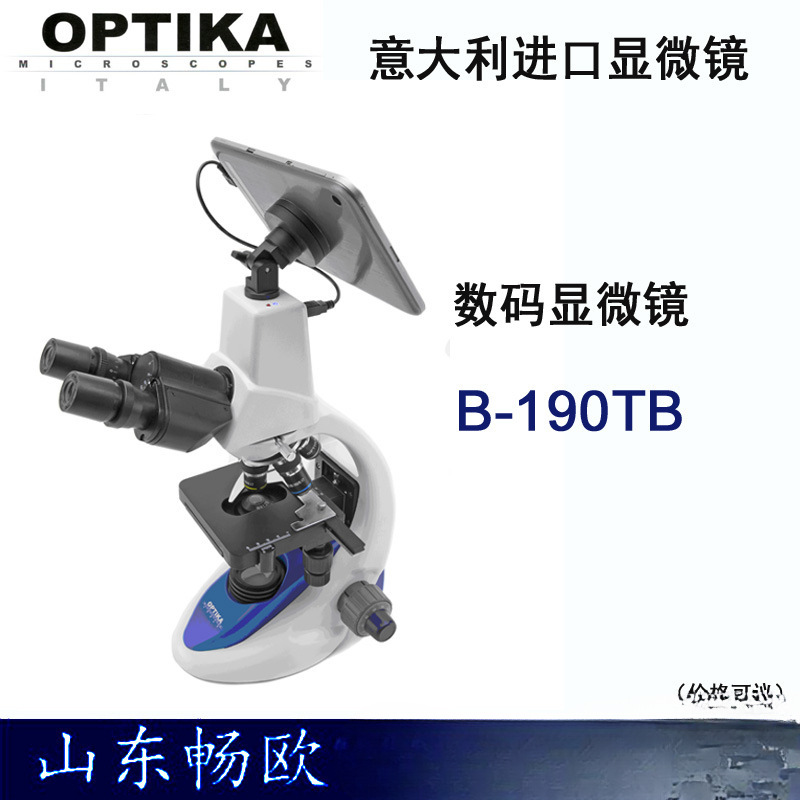 El microscopio polarizador binocular/microscopio polarizador B-150P-BRPL importado de Italia tiene una garantía de un año y se puede facturar