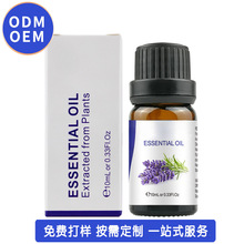 �N�Ɔη��沿�o�w޹�²ݲ��õ������Ե���ֲ��Ҿ���޹���Ͷ���