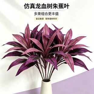 �羳������Ѫ��ֲ�ﱳ�������Ϸ��滨�@�^�������Բ廨���~���滨