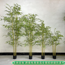 ��ж����������쾰�b��҃�ܛ�b�Gֲ�������L����������������