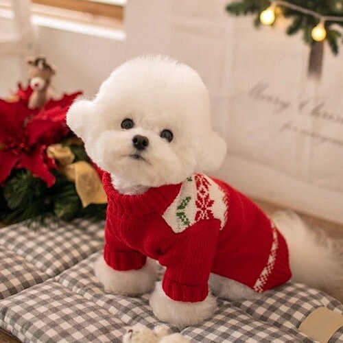 Autumn and winter small dogs festive New Year sweaters small and medium-sized dogs warm sweaters Christmas cat clothes