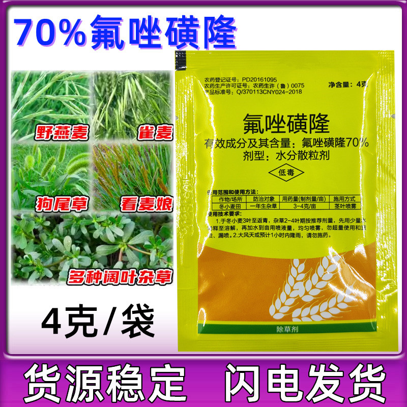 70%氟唑磺隆小麦田燕麦雀麦雀麦狗尾尖叶草禾本科杂草除草剂