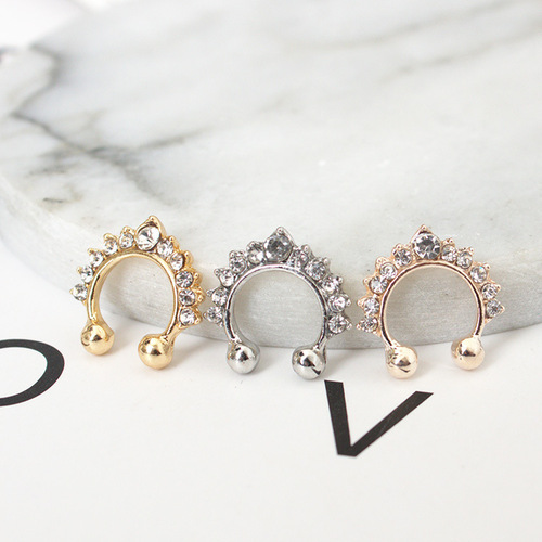 Famous Earrings for Women  New Arrival Fashion Accessory from Dongdaemun, Korea - Elegant Bone Stud Earrings with Nose Ring