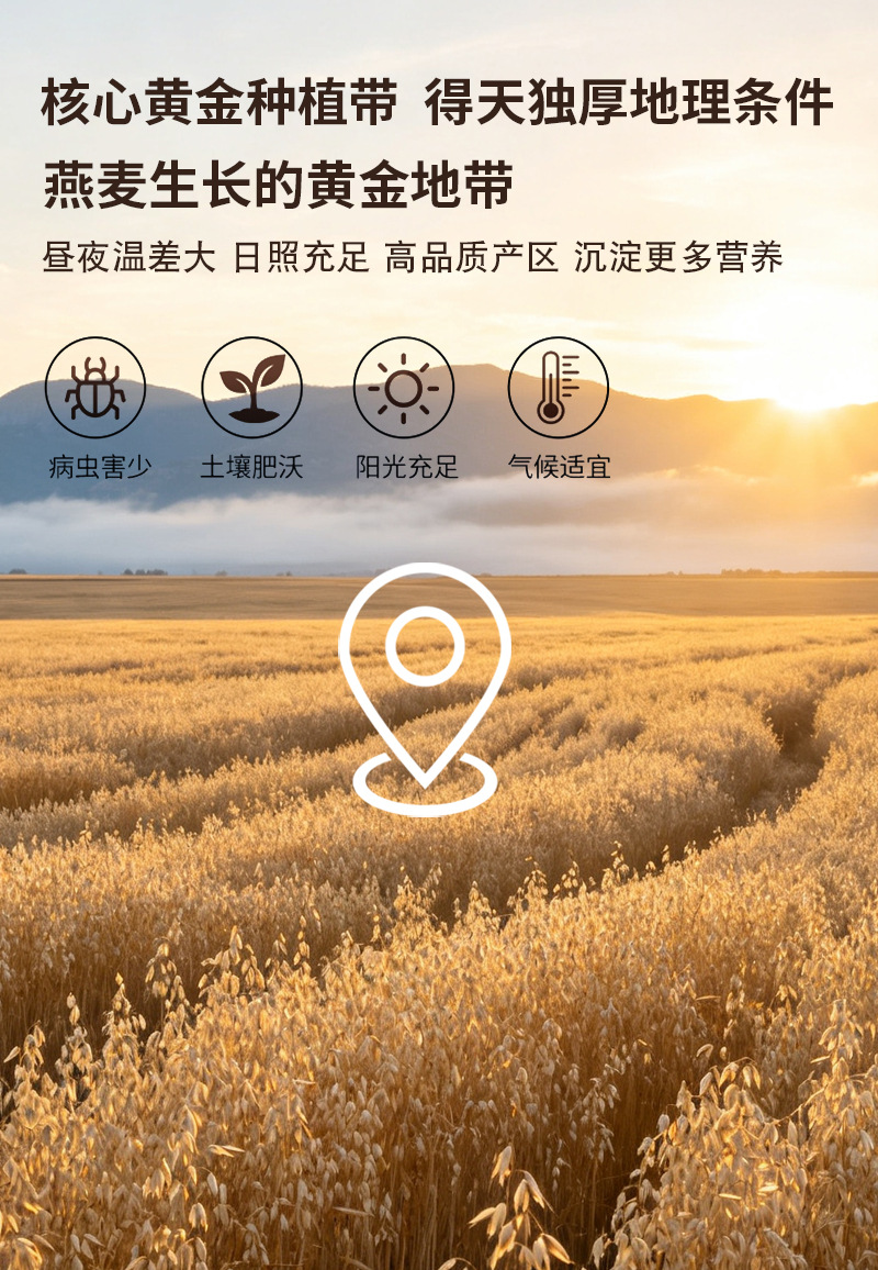 Pure Oat Flakes Yan Mai Pian 燕麦片 Plain Instant Whole Grain Breakfast Baking Ingredient 25kg Bulk preparation