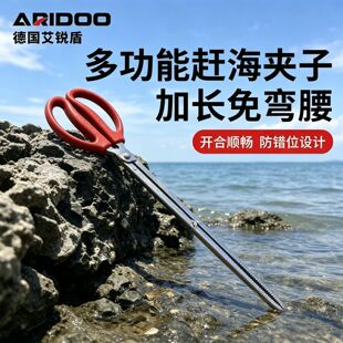 �s�����ò��P䓊A��ץ�з���r���q�S�X�A���Q�����A�����s������