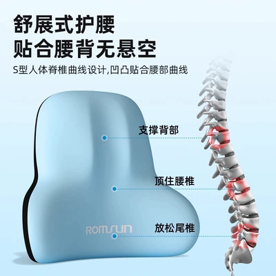 Cushion Seat Lumbar Support: Waist support