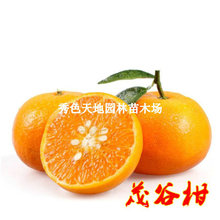ï�ȸ̘���޽����������ͥԺ���ԷNֲ�̨���Դ�����箔��Y��