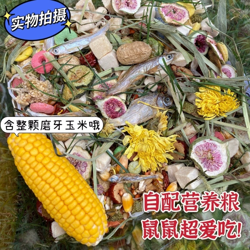 Корм для хомяков, специальный основной корм, золотой хомяк, полный питательный корм, смешанные зерна, лиофилизированные морепродукты, самодельный корм для крыс