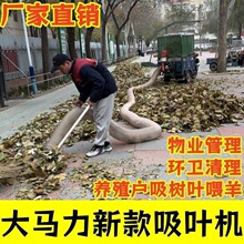吸树叶的机器汽油款树叶机树叶收集破碎机吸叶机养殖园林清扫
