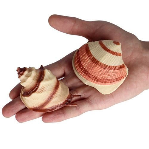 Children's early education science and education beach toys static conch shell jellyfish simulation marine animal model decorative ornaments