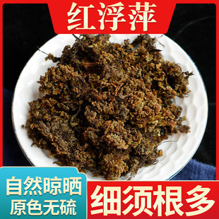 ���u�����Ĵ�Ұ���t��Ƽ500�� �M���t �t���h �����ϱ���Ƽϴ�l