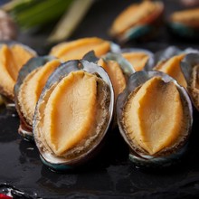 冷冻带壳鲍鱼去壳鲍鱼肉洗净餐饮海鲜水产8粒多规格特大粒宴会食