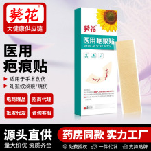 �����̺��N���g��������y����͸��ճ���NƤ�w�������̺��N