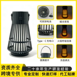 手电筒;提灯;野营/露营灯