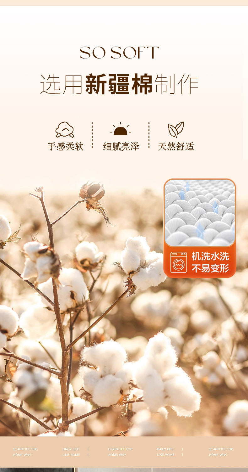 白桃_07.jpg
