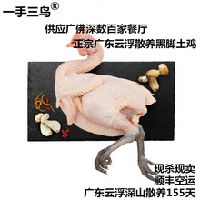 【土鸡凰】现杀黑脚土鸡农家散养青脚土瑶鸡草鸡胡须鸡生鲜鸡肉