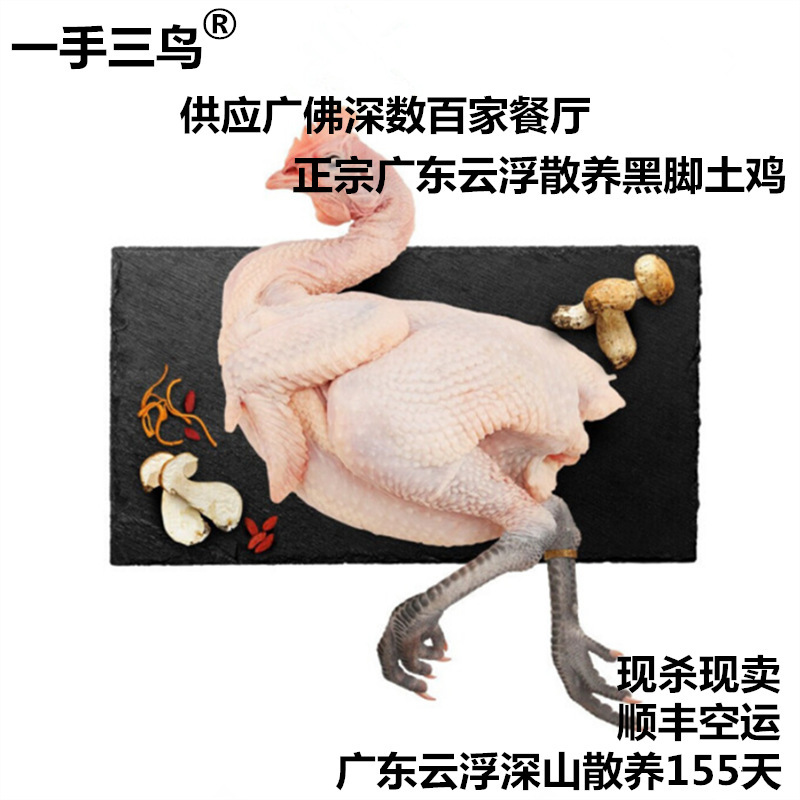 【土鸡凰】现杀黑脚土鸡农家散养青脚土瑶鸡草鸡胡须鸡生鲜鸡肉