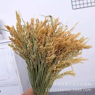 ��Ȼ�ɵ��뵾������ɻ������Ĕz �zӰ���ߙ����b���쾰����S��