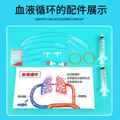DIY人體血液循環模型科技小製作兒童 小發明科學實驗stem創客材料