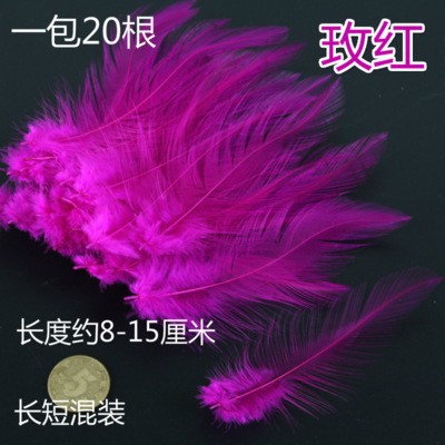 로즈 레드(최소 20개)