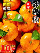 广西砂糖橘10斤新鲜水果当季金秋蜜桔无籽小沙糖桔子整箱直销