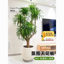 ��Ѫ��͏d�Gֲ���^��횘����F��͏d�Gֲ�҃ȴ�����Ѫ��ֲ������