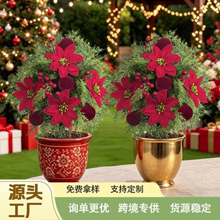 �羳�����}�Q�������һƷ�tֲ�q��ز��ͥԺ�Gֲ�쾰�[�������