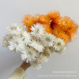 �����U������ѩɏ����ʯ����ѩɏ����