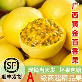 其他水果;番石榴/芭乐;奇异果猕猴桃