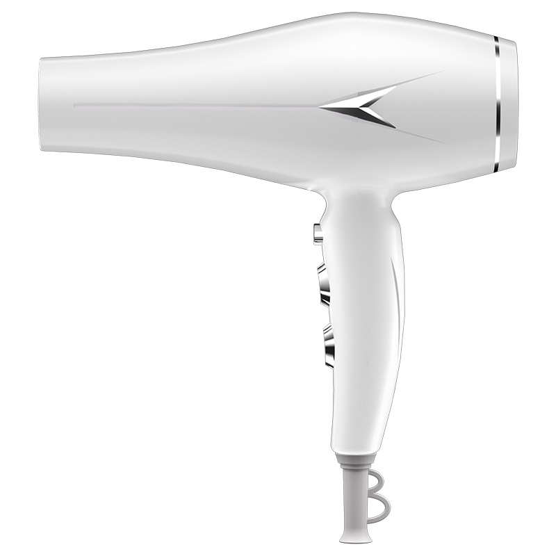 Secador de Pelo Profesional con Iones Negativos de Plástico para Peluquería y Hogar