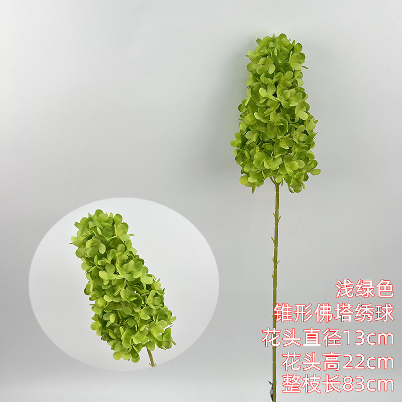 Hortensia de la pagoda cónica - verde claro