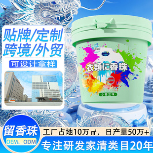 Oem 800g Fragrance Beads, Long-Lasting Fragrance, Phosphorus-Free, Clothing Protection, Smoothing, Laundry Companion, Laundry Fragrance Beads, Oem Factory