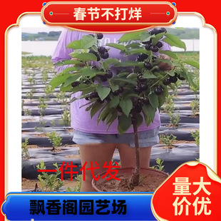 ������̫ƽ��t������� �Ի��ڷ�̫ƽ��t������ �����̻���ϵ
