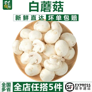 [Qianniu Youfu] Белый гриб 500 г Свежие съедобные грибы Белый гриб Agaricus Agaricus Суп Овощи оптом