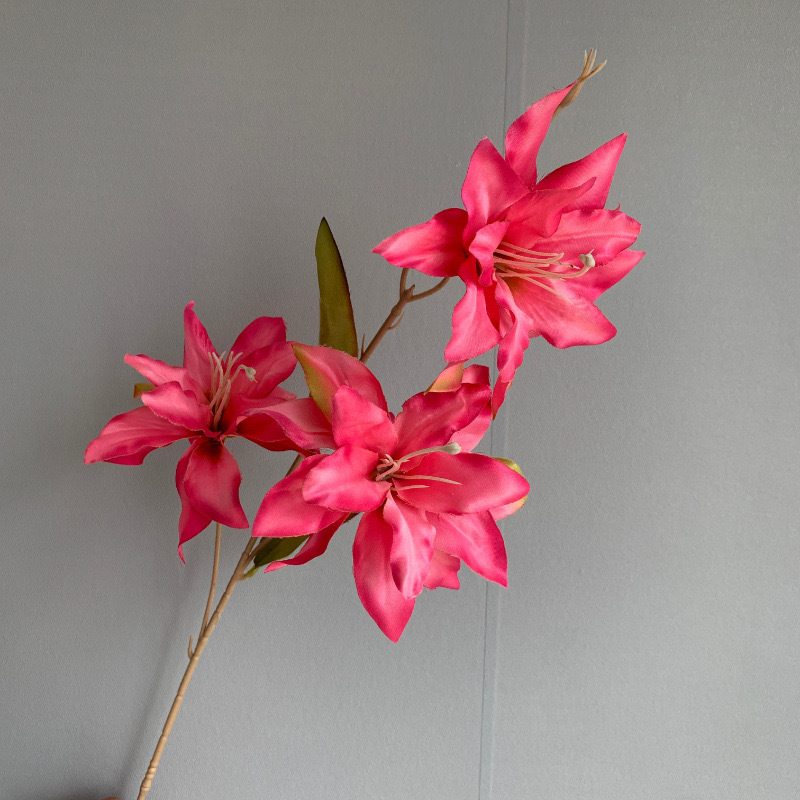 3 사유리-로즈 레드