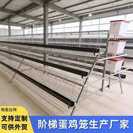 白槽阶梯蛋鸡笼A型三层四层绿槽蛋鸡笼自动饮水阶梯式蛋鸡笼定制