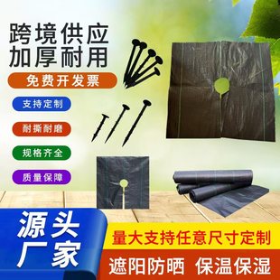 Amazon Pp Anti-Weed Cloth Cross-Border Supply Spot Anti-Aging Black Grass Cover Cloth Cross-Border New Material Gardening Ground Cloth