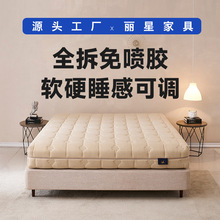 全拆式床垫黄麻床垫乳胶床垫独立弹簧可调节酒店床垫工厂21-30cm