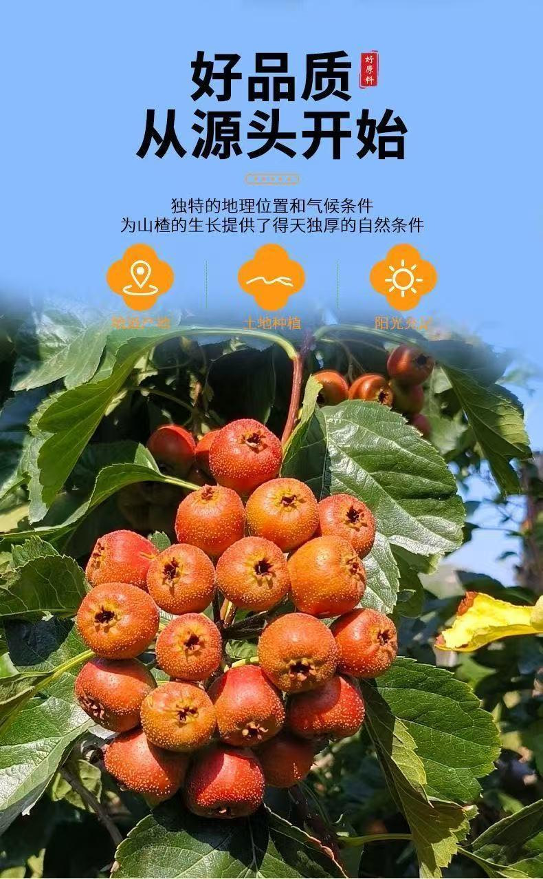 Huang Qi Shan Chen Fu Ling Tea 5g x 20 Bags Astragalus Hawthorn Tangerine Peel Poria Wellness Blend overview