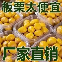 板栗仁开袋即食特级糖甘栗仁去皮真空包装零食油板栗仁生新鲜栗子