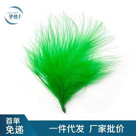 羽毛、羽绒;花边;胸花