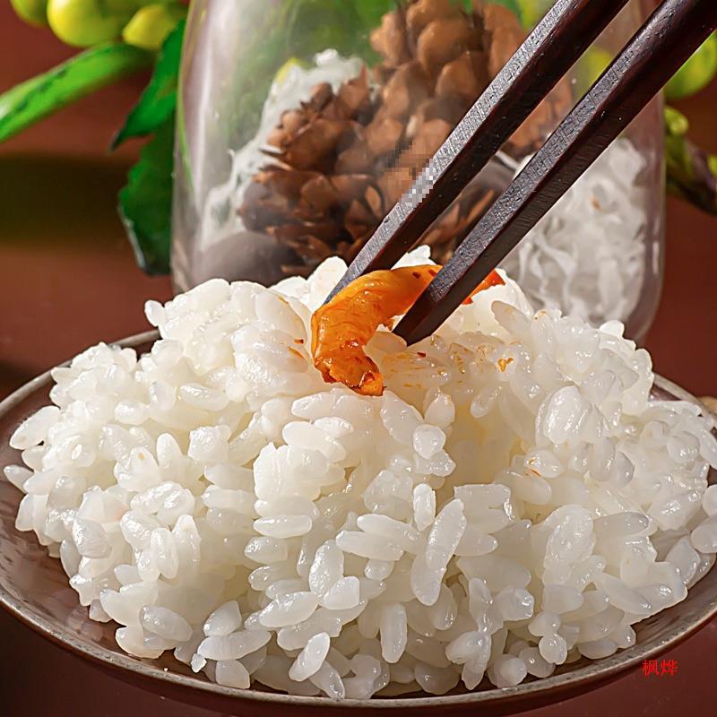 東北米 5kg 丸粒粘米 2023年新米 農家産寒冷地黒竜江米 2.5kg 価格|undefined