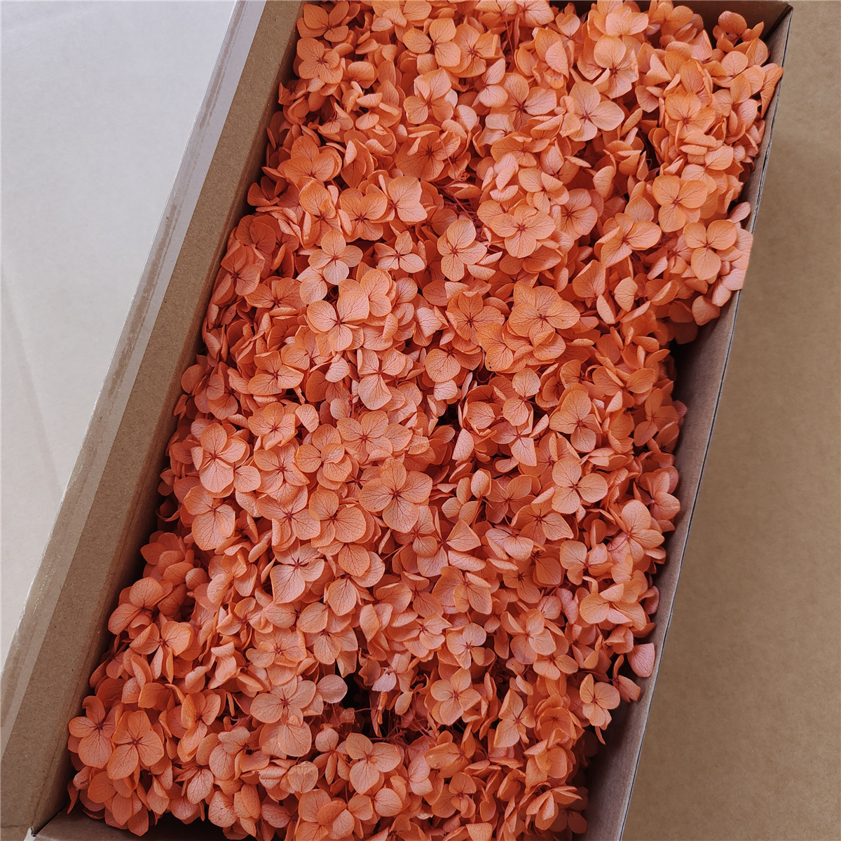 Flor eterna Hortensia Anna pequeña hoja flor seca flor real árbol de Navidad ventilador hecho a mano ramo DIY material paquete flor