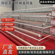 �Č����T�ײ۾G���A�ݵ��u�\��\�����͸��g���g�eλ�S�����坍