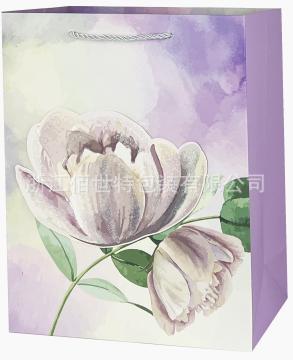 热销鲜花礼品袋