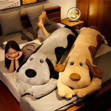 ɐëſſ̖żɲϴLlëqŮϱ˯