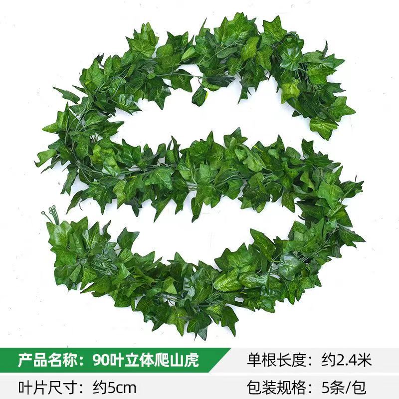 90 Parthenocissus 잎 (5)